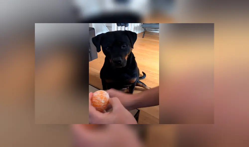 Desliza para ver los momentos más hilarantes del video viral de YouTube.