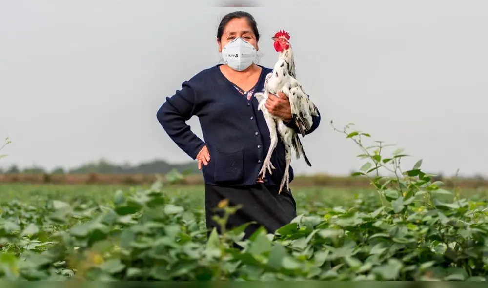 Catalina Chapoñan Cajusol Catalina Chapoñan Cajusol