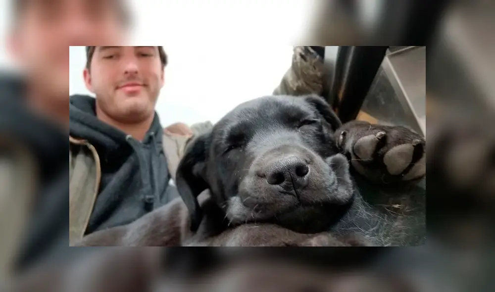 Desliza para ver todas las imágenes de Facebook. Foto: captura Desliza para ver todas las imágenes de Facebook. Foto: captura