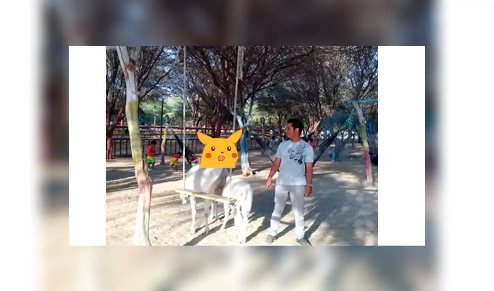 Facebook viral: joven peruano hace pedido y troles del Photoshop crean curiosos memes [FOTOS]