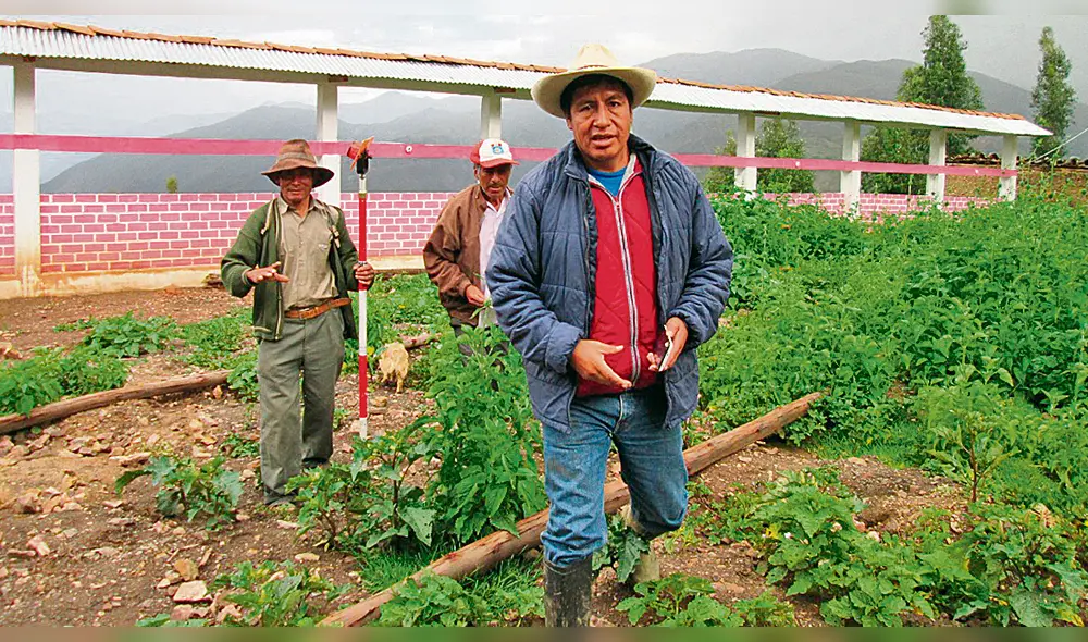 Agricultores. Productores de papa se benefician con proyecto. Agricultores. Productores de papa se benefician con proyecto.