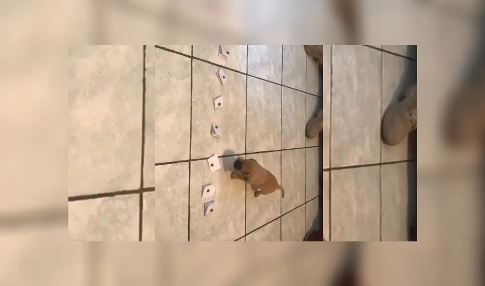 Desliza hacia la izquierda para ver más del video viral.