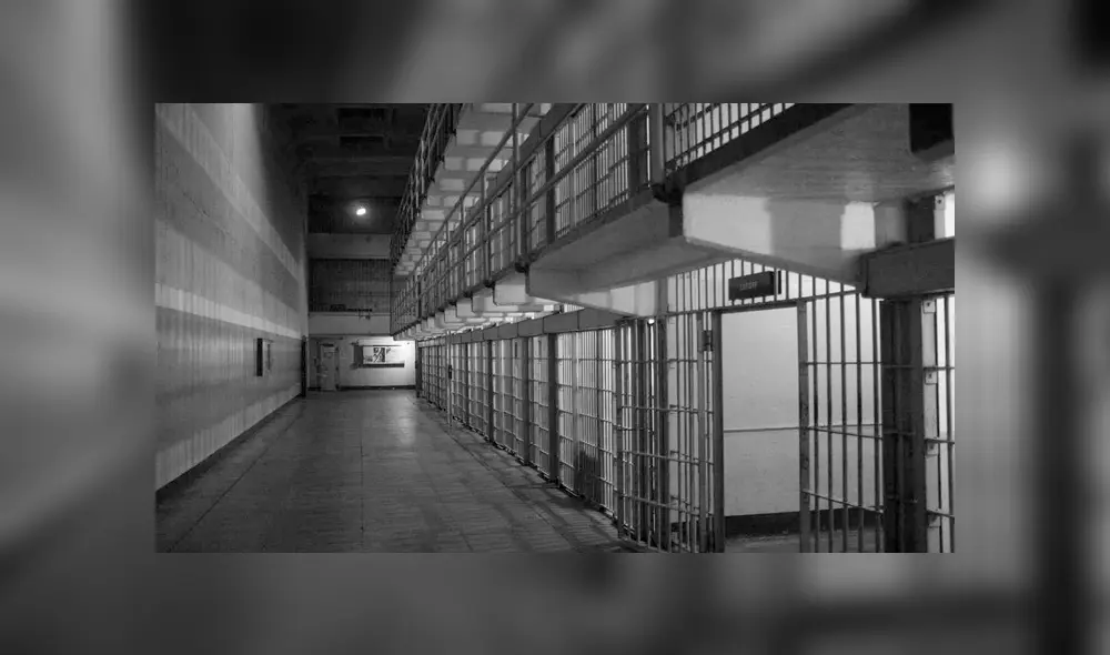 Hombre asesinó a un perro en Estados Unidos y recibió una condena de nueve años. Foto: Difusión Hombre asesinó a un perro en Estados Unidos y recibió una condena de nueve años. Foto: Difusión