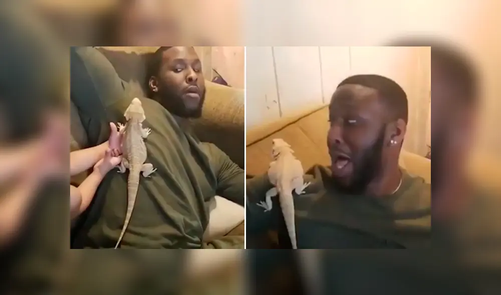 YouTube viral: la hilarante reacción de un papá, luego de que su hijo le coloque un reptil en el cuerpo YouTube viral: la hilarante reacción de un papá, luego de que su hijo le coloque un reptil en el cuerpo