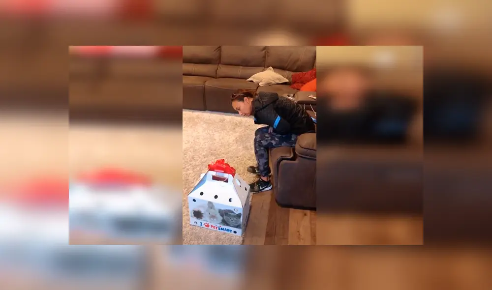 Desliza las imágenes hacia la izquierda para apreciar la emotiva sorpresa que prepararon unos jóvenes a su madre.