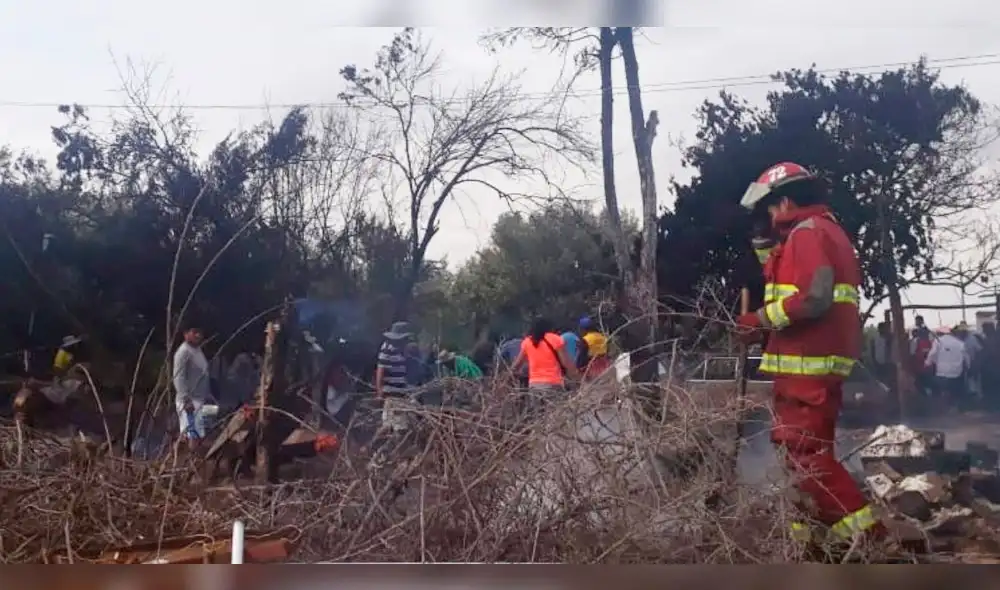 Incendio en Tacna consumió 15 mil kilos de aceituna procesada.