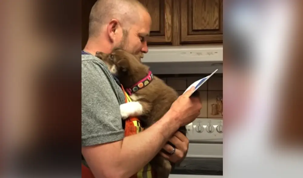 Desliza hacia la izquierda para ver las imágenes del video viral. Foto: captura de Facebook.