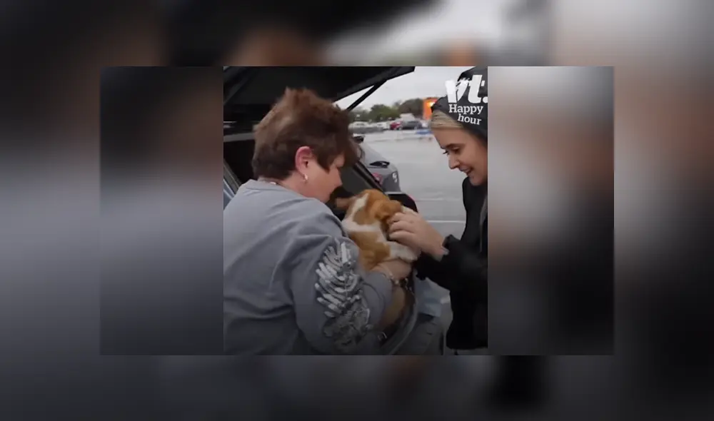 A través de Facebook se hizo viral la conmovedora reacción de una mujer al ver que su hija le había regalado un cachorro. A través de Facebook se hizo viral la conmovedora reacción de una mujer al ver que su hija le había regalado un cachorro.