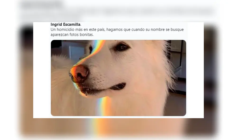 Usuarios de las redes reemplazan fotos filtradas de Ingrid Escamilla con bellas imágenes [FOTOS]