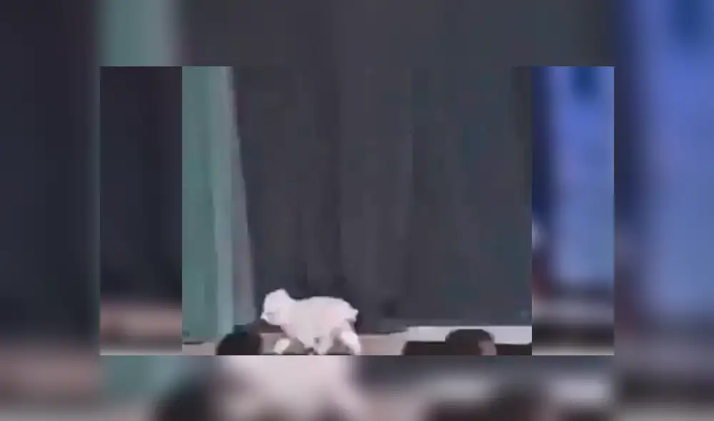 Video es viral en Facebook. El can estaba interpretando a “Toto”, la mascota de Dorothy, durante un montaje de la obra ‘El mago de Oz’