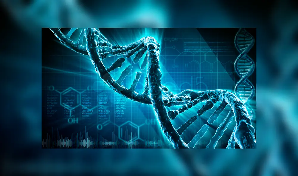 La llamada "edición principal" permite a los científicos manipular el ADN | Foto: Difusión La llamada "edición principal" permite a los científicos manipular el ADN | Foto: Difusión
