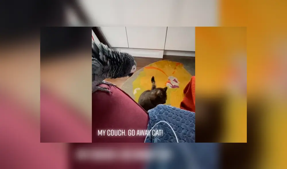 Desliza para ver las imágenes de YouTube.