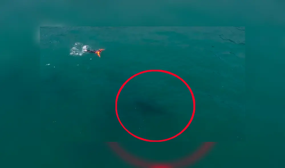 Facebook: aterradora criatura paraliza a bañista a plena luz del día [VIDEO] 