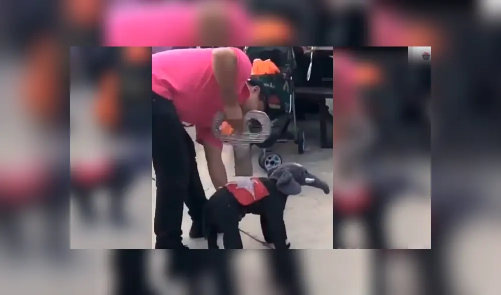 Desliza para ver el desenlace de este video viral de YouTube. Foto: Captura.