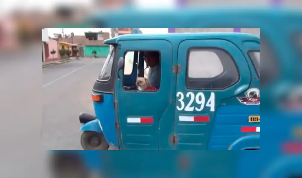 En Facebook, un peruano recorre las calles de Huacho al lado de su inseparable mascota de nombre ‘Pepa’.