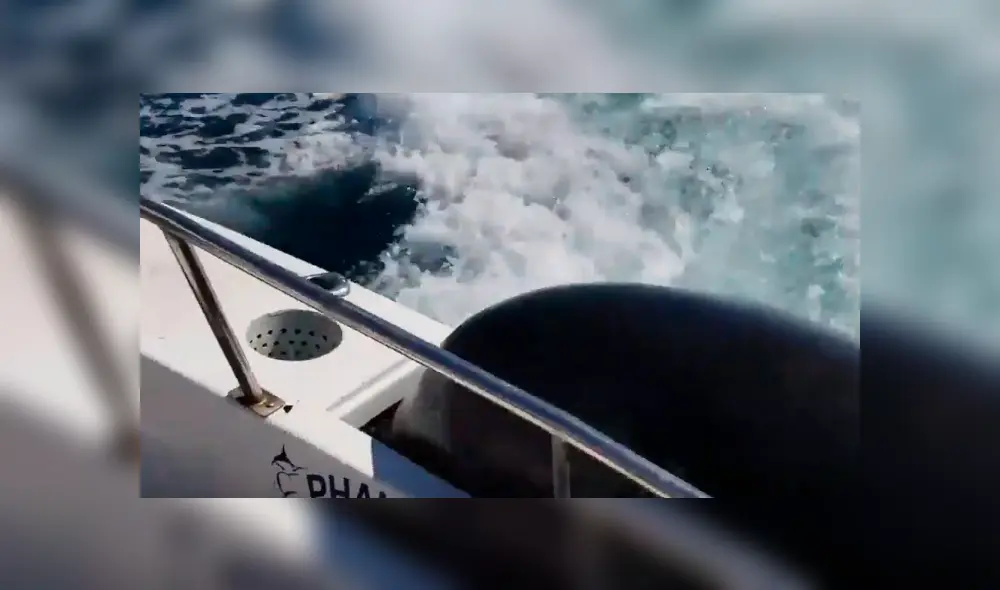 Desliza para ver todas las imágenes de YouTube. Foto: captura Desliza para ver todas las imágenes de YouTube. Foto: captura