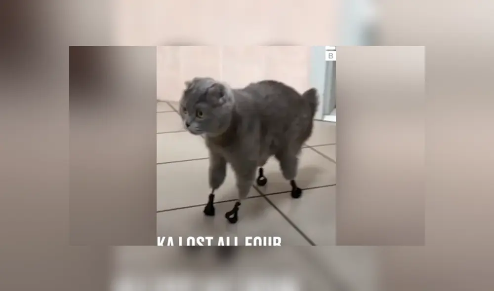 Desliza para ver los momentos más conmovedores de la historia que se hizo viral en Facebook.