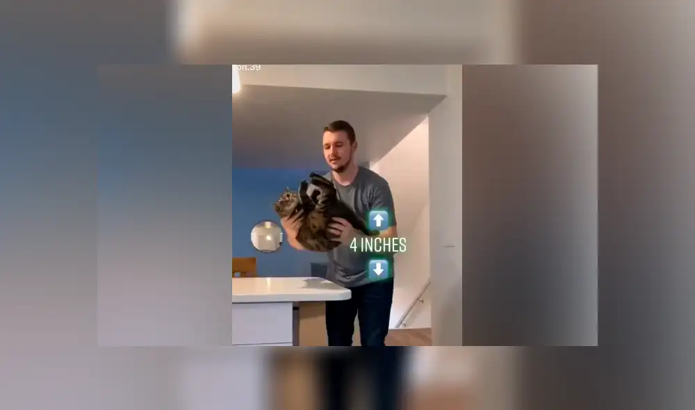 Desliza hacia la izquierda para ver el resultado del experimento que hizo un joven con su gato. Video es viral en YouTube.