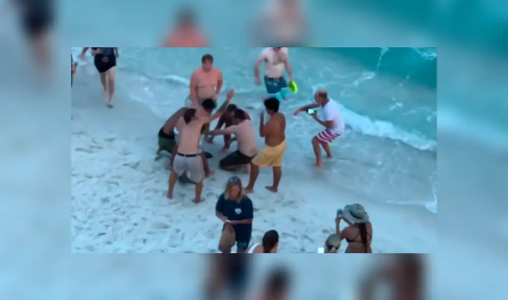 YouTube viral: tiburón martillo fue ayudado por bañistas que lo regresaron al mar [VIDEO]