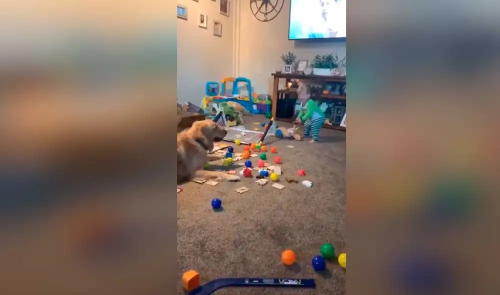 Desliza las imágenes para ver la curiosa escena que registró una madre entre su hijo y su fiel mascota. Foto: Captura de YouTube/ Storyful Rights Management Desliza las imágenes para ver la curiosa escena que registró una madre entre su hijo y su fiel mascota. Foto: Captura de YouTube/ Storyful Rights Management