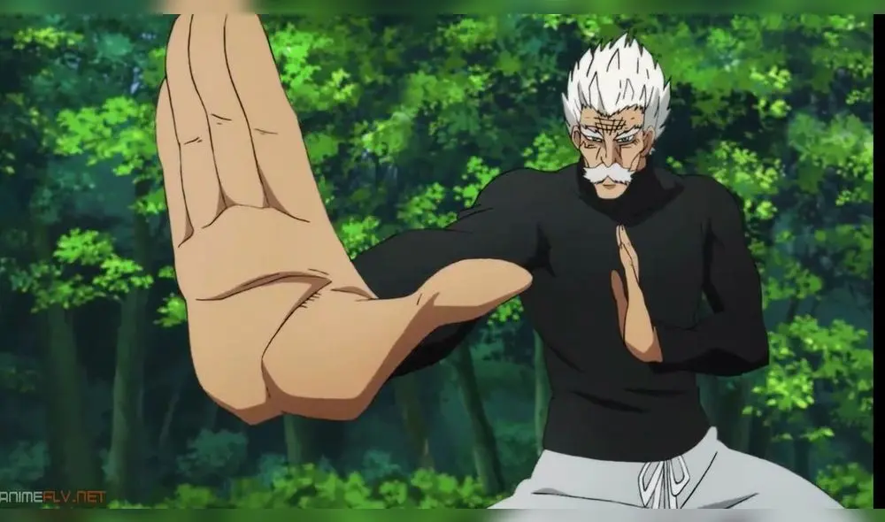 One Punch Man One Punch Man