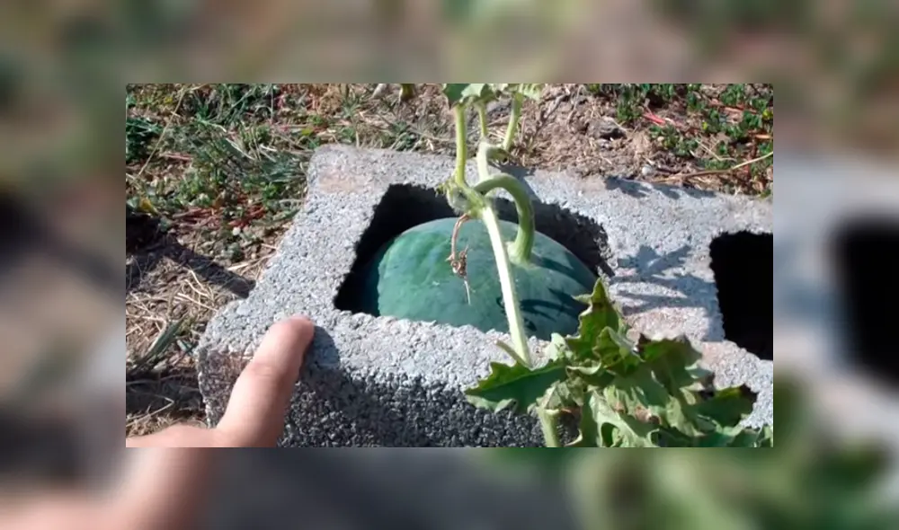 Desliza para ver los detalles de este video viral de Facebook. Foto: Captura. Desliza para ver los detalles de este video viral de Facebook. Foto: Captura.