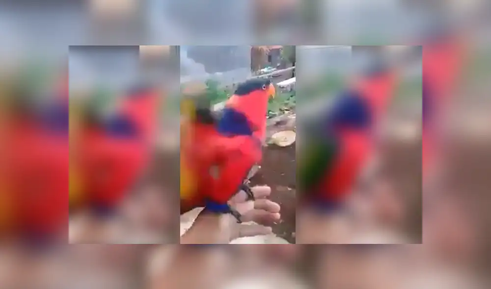 Desliza para ver el desenlace de este video viral de Facebook. Foto: Captura.