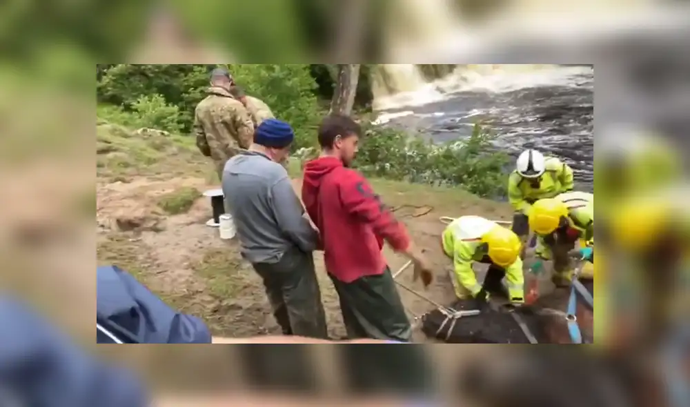 El animal quedó atrapado en un barranco y tuvo que llegar un helicóptero para sacarla del lugar. Foto: YouTube