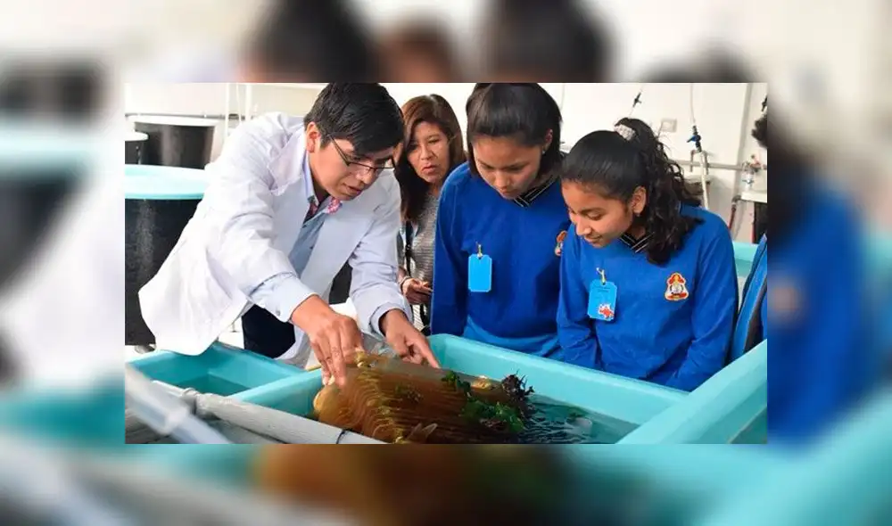 Día Internacional de la Mujer y la Niña en la Ciencia: ¿por qué es importante recordarlo?