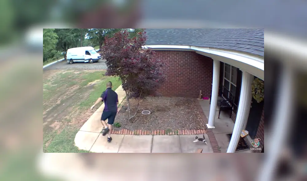 Desliza para ver los detalles del video viral de YouTube. Foto: Captura. Desliza para ver los detalles del video viral de YouTube. Foto: Captura.