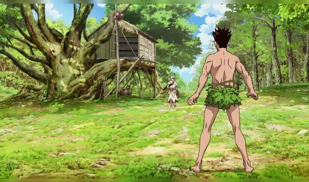 Dr. Stone