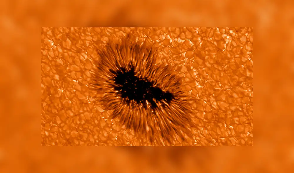 Imagen de una mancha solar observada por el telescopio Gregor. Foto: Leibniz-kis.de Imagen de una mancha solar observada por el telescopio Gregor. Foto: Leibniz-kis.de