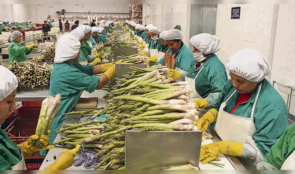 CCL: adecuado cumplimiento de requisitos sanitarios garantiza la exportación