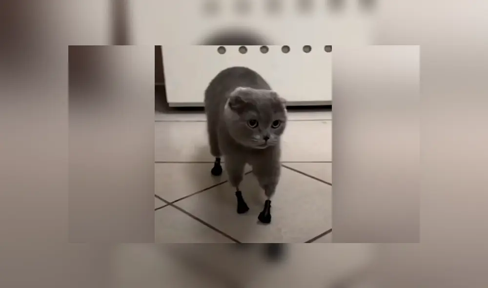 Desliza para ver los momentos más conmovedores de la historia que se hizo viral en Facebook.