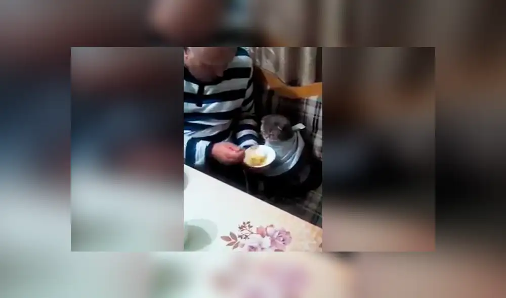 Desliza las imágenes para ver la increíble escena que protagonizó un padre y su gato. Foto: Captgura/Facebook Desliza las imágenes para ver la increíble escena que protagonizó un padre y su gato. Foto: Captgura/Facebook