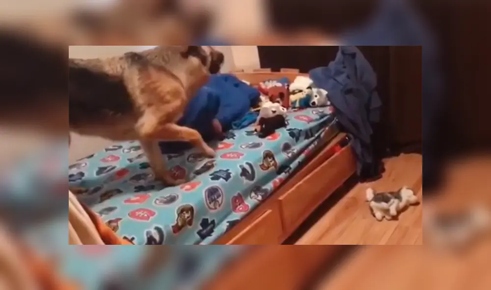 Desliza para ver los momentos más divertidos del momento viral de YouTube.