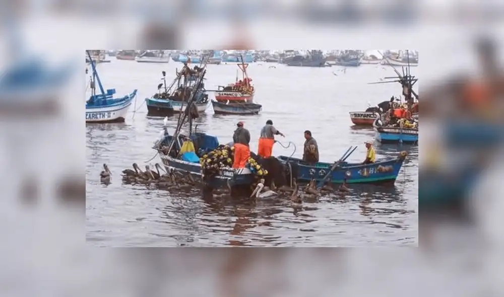 Produce destina más de 4 millones de soles para enfrentar la pesca ilegal Produce destina más de 4 millones de soles para enfrentar la pesca ilegal