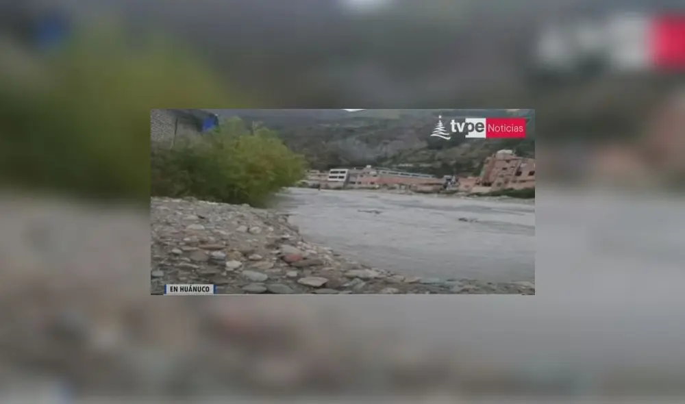 Derrame ocasionó muerte de la fauna silvestre. Foto: captura de TV Perú
