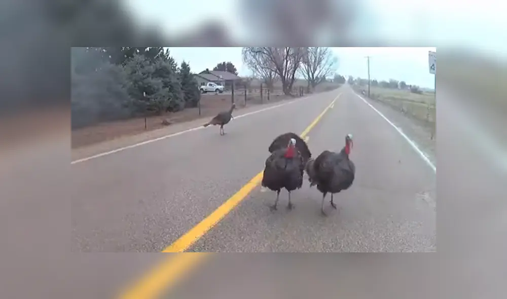 Desliza para ver todas las imágenes de Facebook. Foto: captura.