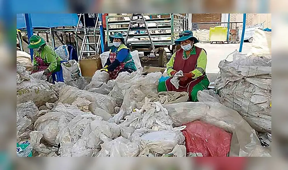 Proyección. Planta espera generar para el 2020 un movimiento económico de 500 mil soles. Proyección. Planta espera generar para el 2020 un movimiento económico de 500 mil soles.