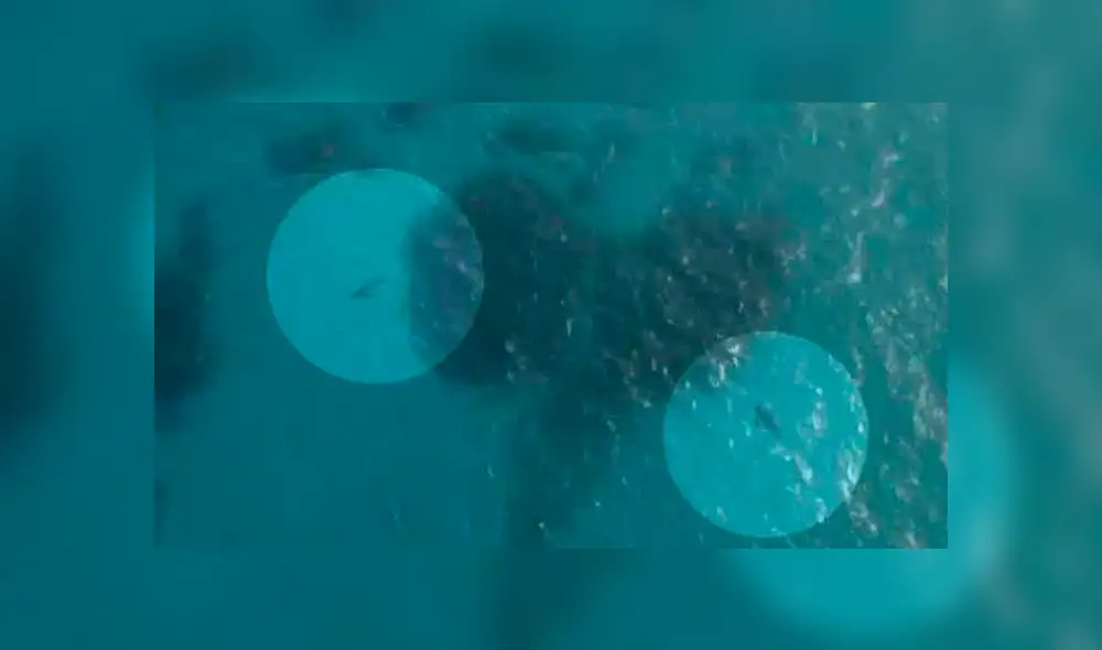 Muere futbolista devorado por tiburones tras ser arrastrado mar adentro [FOTOS]