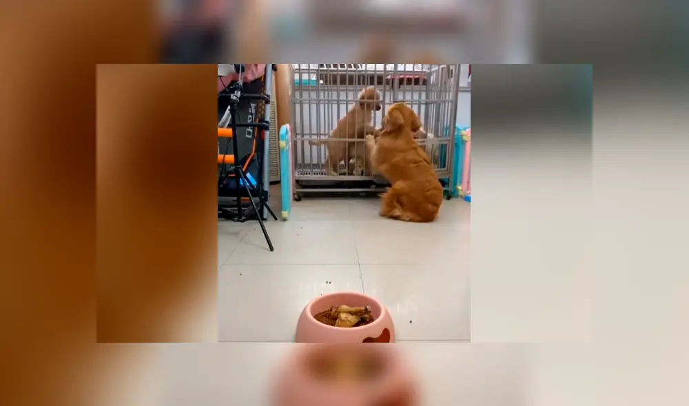 Desliza para ver todas las fotos de Facebook. Foto: captura