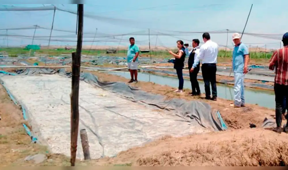 Fiscalía inspeccionó el lugar donde verificaron la afectación al Patrimonio Cultural de la Nación. Fiscalía inspeccionó el lugar donde verificaron la afectación al Patrimonio Cultural de la Nación.