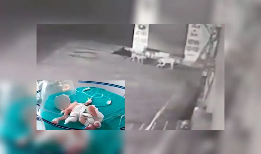 Las cámaras el momento en que los perros rescatan a la niña, quien fue llevada a un hospital. Imágenes: The Times of India. Las cámaras el momento en que los perros rescatan a la niña, quien fue llevada a un hospital. Imágenes: The Times of India.
