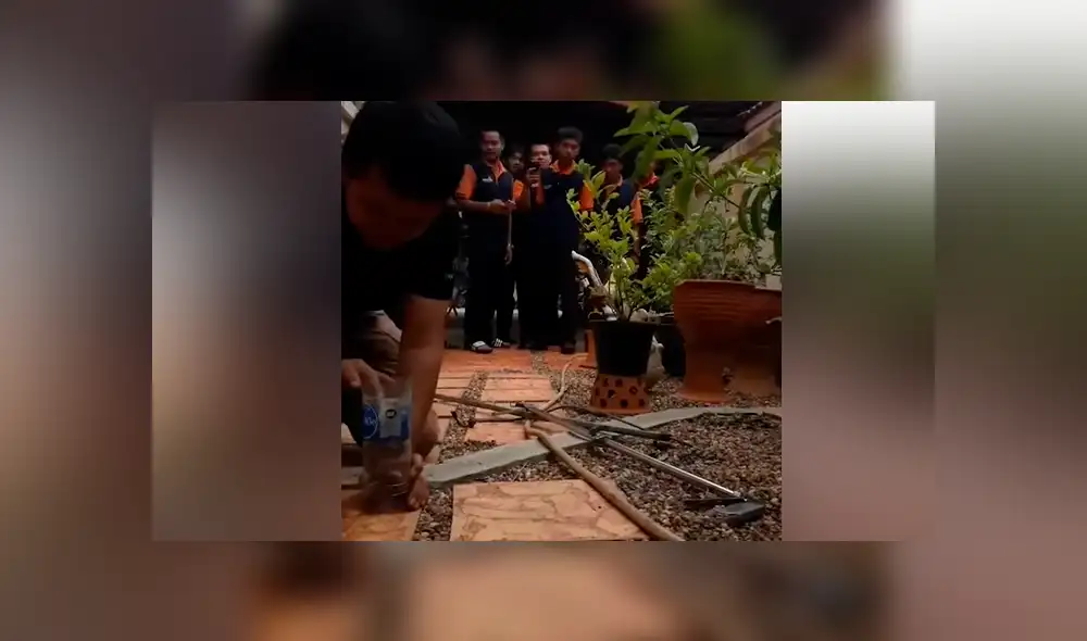 Chico intenta meter peligrosa serpiente en botella de plástico, sin imaginar lo que pasaría [VIDEO]