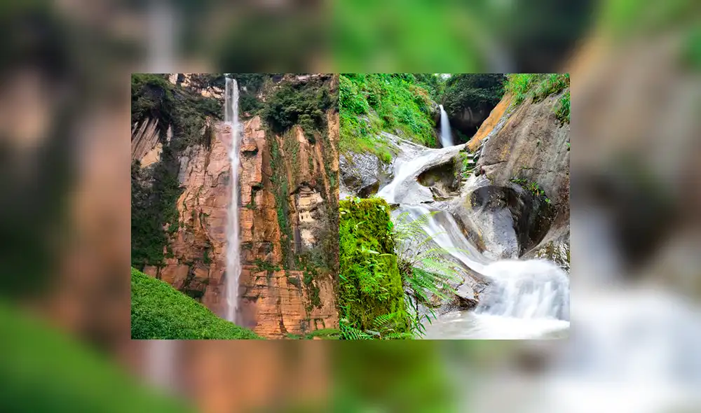 Transfieren recursos.