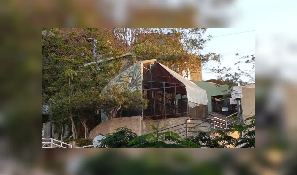 Denuncian que la municipalidad de Los Olivos no se ha comunicado con ellos. Foto: Difusión.