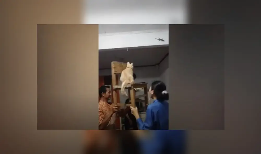 Desliza hacia la izquierda para ver más del video viral Desliza hacia la izquierda para ver más del video viral