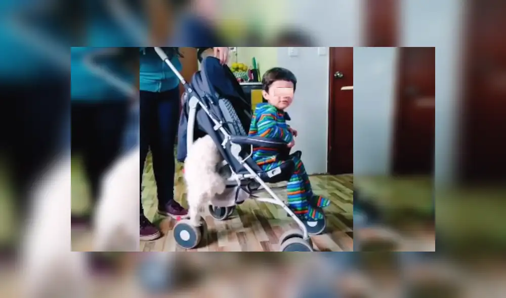 Desliza las imágenes para ver más detalles sobre esta tierna escena que es viral en Facebook. Desliza las imágenes para ver más detalles sobre esta tierna escena que es viral en Facebook.