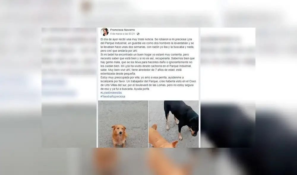 Dos hombres raptan a una perrita de siete años y al encontrarla descubren que fue abusada [VIDEO]  